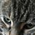 Jason Pickett's profile image