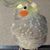 Sherry Castillero's profile image