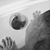 Shelly Raymond-Reyes's profile image