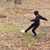 Rachael Plenda MacKenzie's profile image