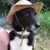 Elizabeth Throckmorton's profile image