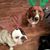 Patricia Payne's profile image