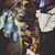 Jennifer Rose Hagemike's profile image