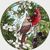 Carol Brom's profile image