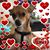 Dawn Renee Leeson's profile image