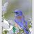 Pam Paulus's profile image