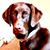 Terri Sanders's profile image