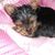 Pam Burnikel's profile image