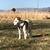 John Strauch's profile image