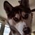 Frank Sarah Marrazzo's profile image