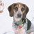 Joan Reese-Finnen's profile image