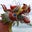 Kristina Gaughan Barnes's profile image