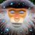 Harriett Bernstein Owens's profile image