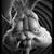 Cory Sterk's profile image