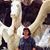 Mary Frisone's profile image
