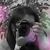 Edith Rosas's profile image