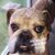 Robin Hobbs's profile image
