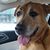 David E. Gerlt's profile image