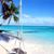 Lori Lazenby Cady Runyan's profile image