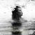 Autumn Coffman's profile image