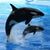 Wendi Helman-Worsfold's profile image