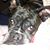Darlene Fairchild's profile image