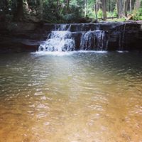 Brooke Carpenter's profile image