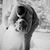 Chelsey Erica Trudel's profile image