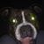 Bobbie Joe Kinney Klebe's profile image