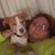 Mindy Riley's profile image