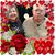 Joyce Brooks's profile image