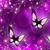 Tracy Magoon's profile image