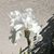 Jeanette Nielsen Howard's profile image