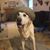 Richard D. Peay's profile image