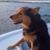 Tina Bauer's profile image