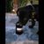 Karin McNeil's profile image