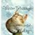 Kimberly Arnett-Ordonia's profile image