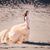 Candis Marie's profile image