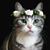 Pamalyn Rose-Beeler's profile image