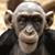 Michael Torres's profile image