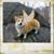 Colleen S Maney's profile image