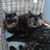 Ann Tabor's profile image