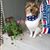 Lisa K Warren's profile image