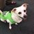 Teri Krutki Sockwell's profile image