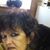 Kathy Wright-Blakemore's profile image
