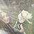 Noe Jacqueline's profile image