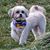 Lucinda Chreitzberg's profile image