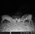 Jeff Schwanke's profile image