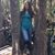 Kimberly Warren's profile image