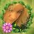 Tahnee Doyle Saucedo's profile image